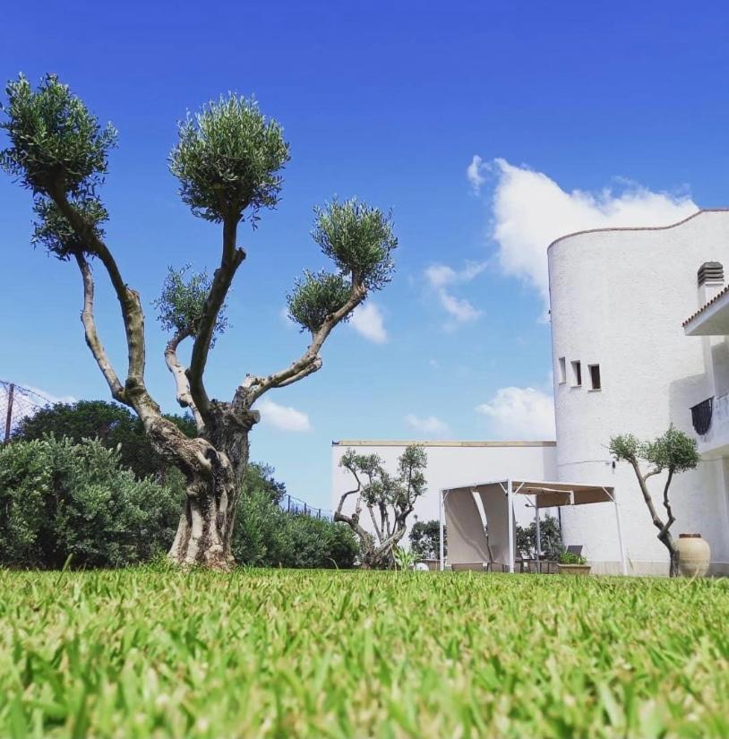 Villa Eagle Terrasini Exterior foto